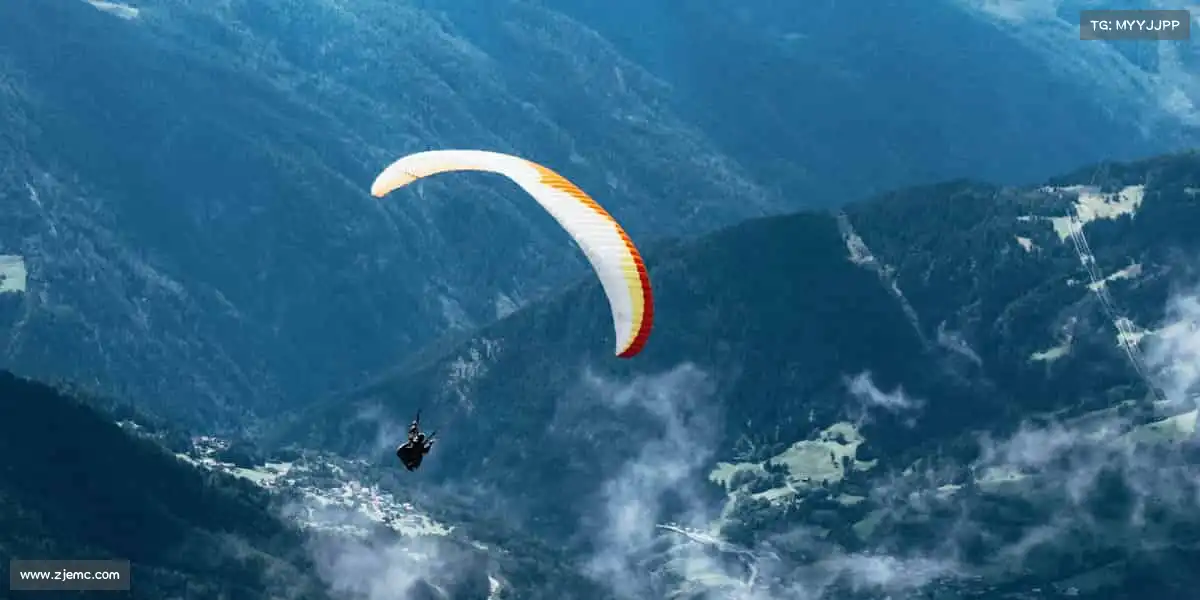 为什么选择我们